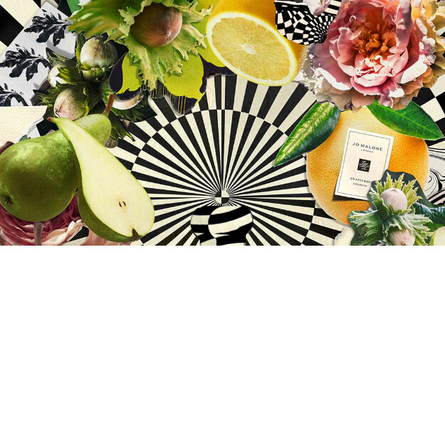kit de capas de aromas