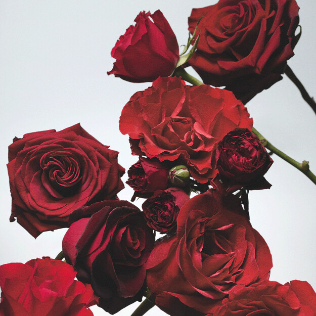 jabón de rosas rojas